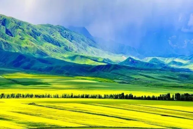 1c8a1ca050fe694f81907a6061c73a11-sz_394781 1c8a1ca050fe694f81907a6061c73a11-sz_394781