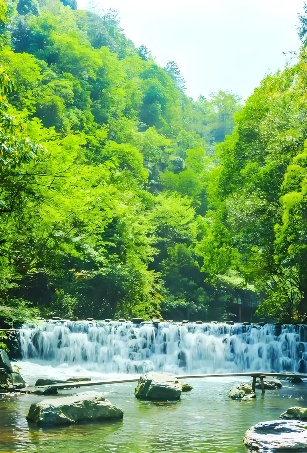 1c9e3e614fe3fb04c1a479932251e008-sz_1205467