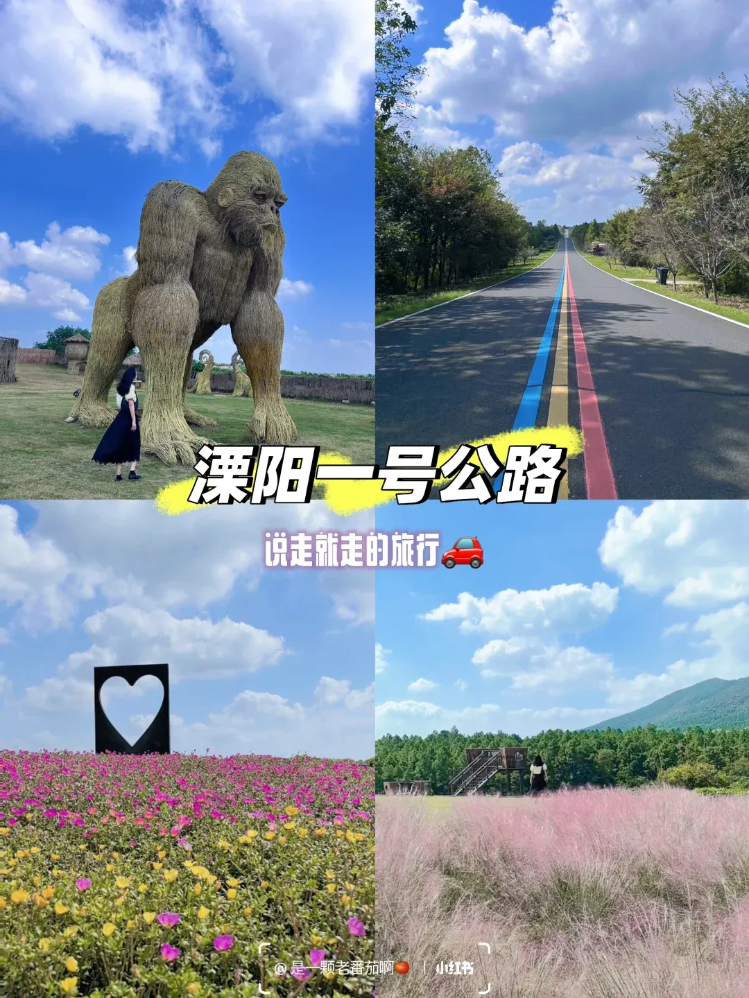 1e293f97cf8e411a36752cd91cdc40ed-sz_3043946