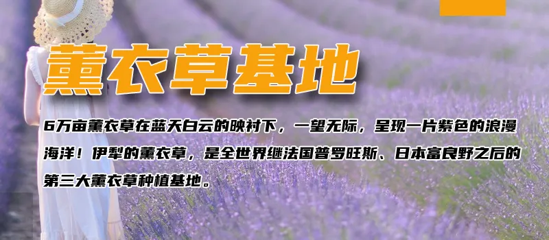 225bb113d11c21756dee1c63c710ca64-sz_257528 225bb113d11c21756dee1c63c710ca64-sz_257528