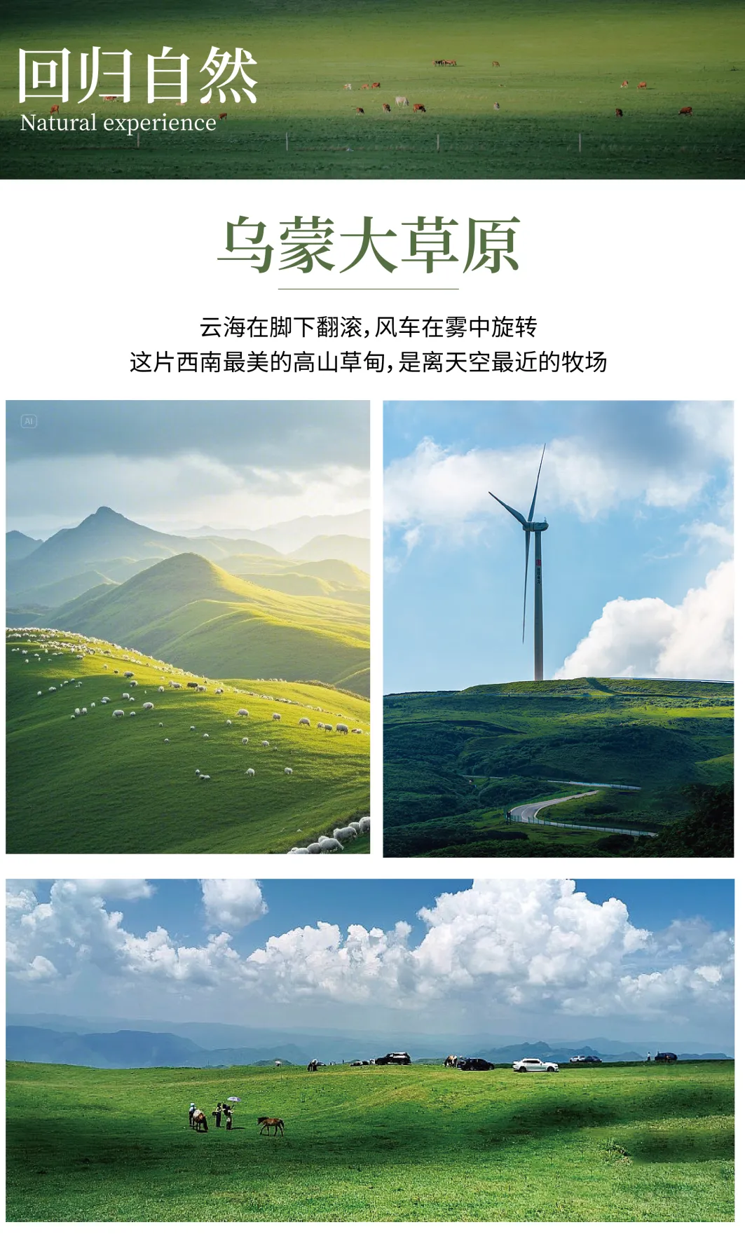 22916fe9085ed850506491f68c2551b3-sz_4871465