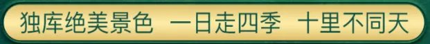 26c2fcf45a6db19d27140f47434b3e99-sz_2234263