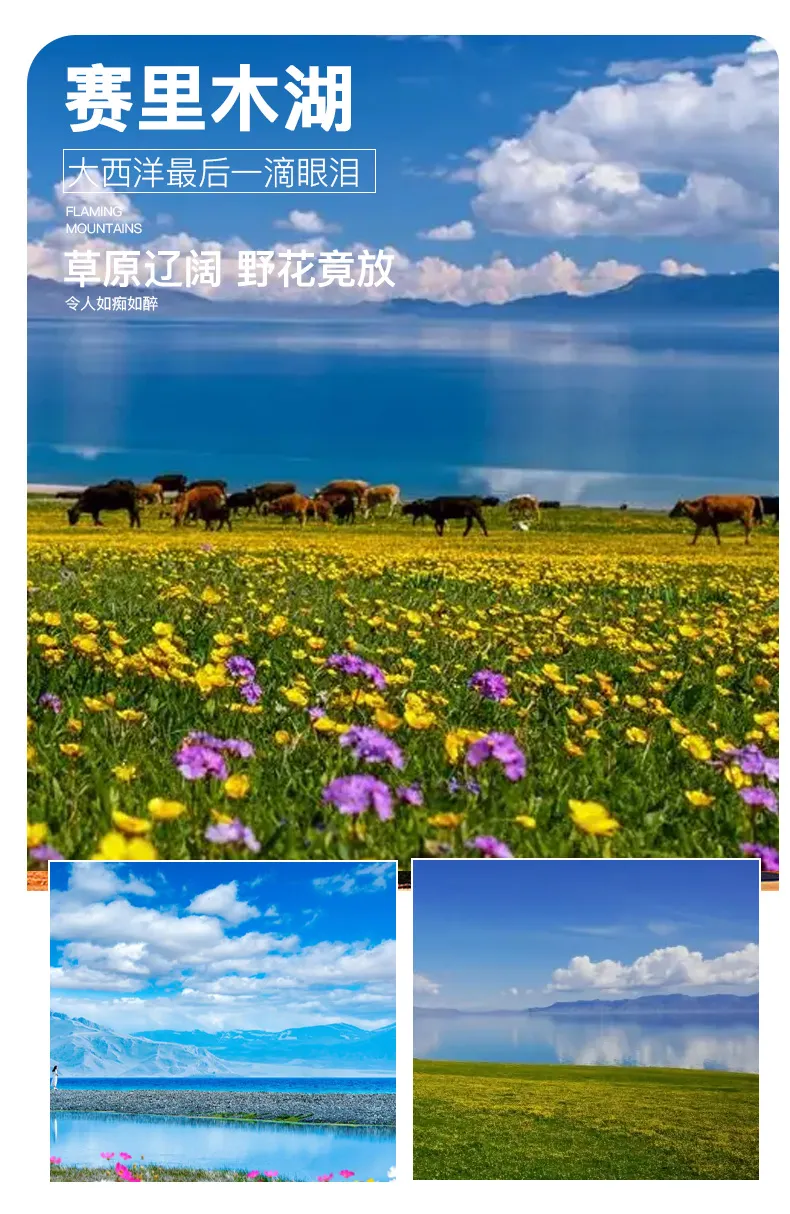 26f7039a7a0306d87bc71687b4c40b40-sz_444582 26f7039a7a0306d87bc71687b4c40b40-sz_444582