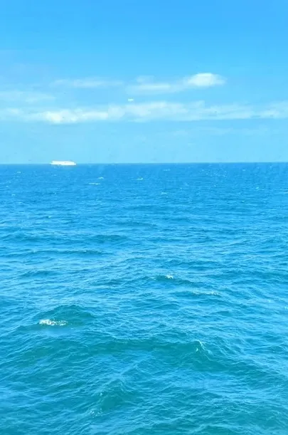 2e313293388e8237235b2976a5e07b2e-sz_469578
