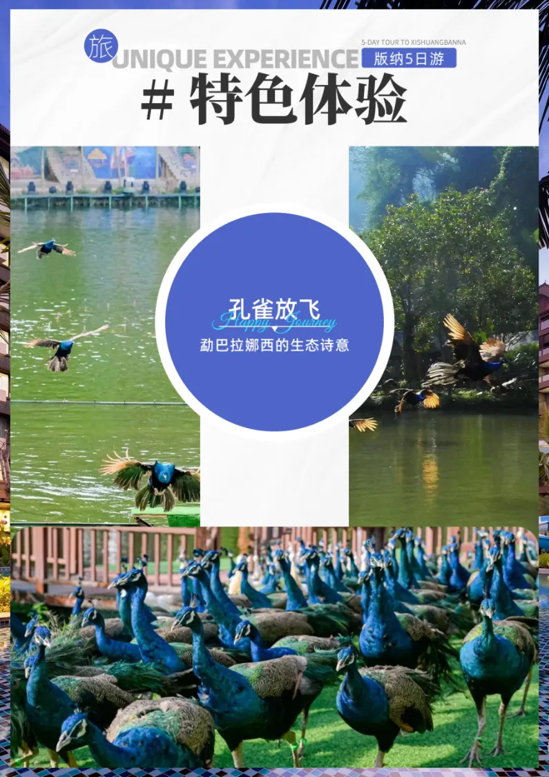 2f0f8d50d4f4ec86cd43c108e9629e58-sz_1743893 2f0f8d50d4f4ec86cd43c108e9629e58-sz_1743893