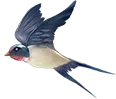 37e418972f8a51189143d23526911525_sz-37862