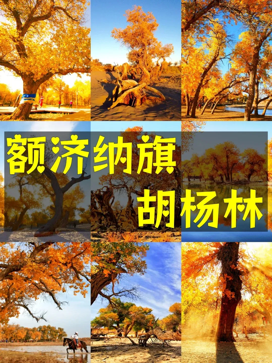 3b78b574a5ef7756cdc71f7648db5170-sz_637261 3b78b574a5ef7756cdc71f7648db5170-sz_637261