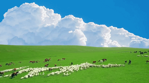 4135bc6ae6050325a123151f5830f4fe-sz_2005270-3