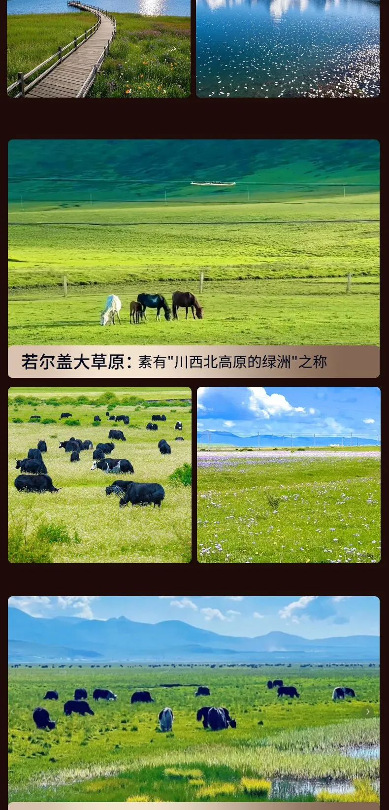 46504bc14999e3623ac55e975b60aeb7-sz_327856 46504bc14999e3623ac55e975b60aeb7-sz_327856