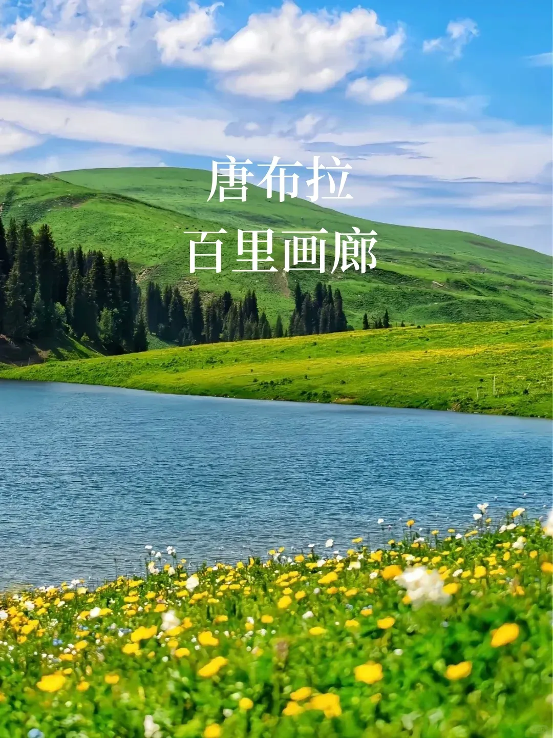 4d569c1190249f351340b84eec402b16-sz_2066916 4d569c1190249f351340b84eec402b16-sz_2066916