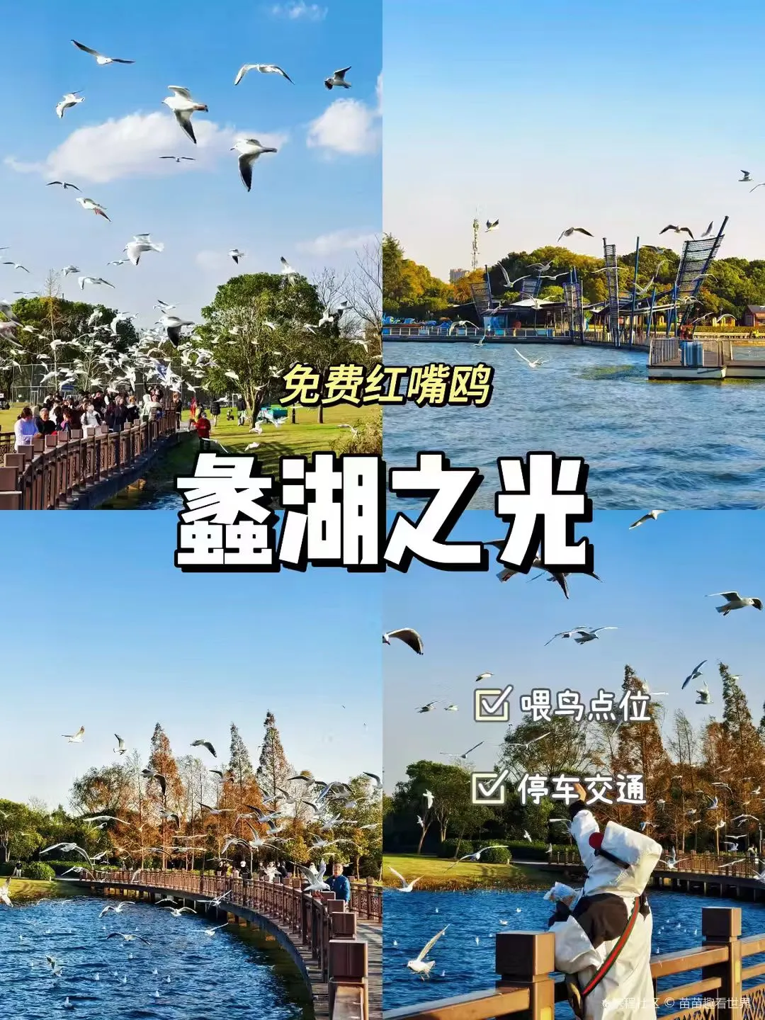 4dafba91b56268b33cd5822fd6c341fe-sz_2709850