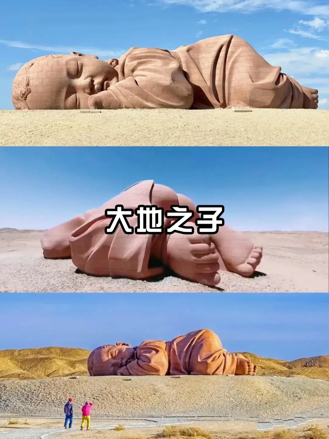 61a1658421a89eff94f65c5342139150-sz_306470-1