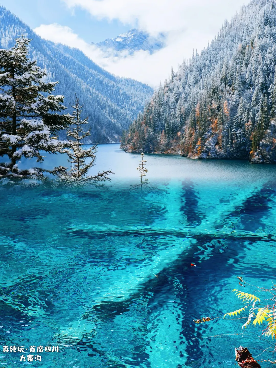 63bb3512794f948fb8e26efbed1c1885-sz_6729343