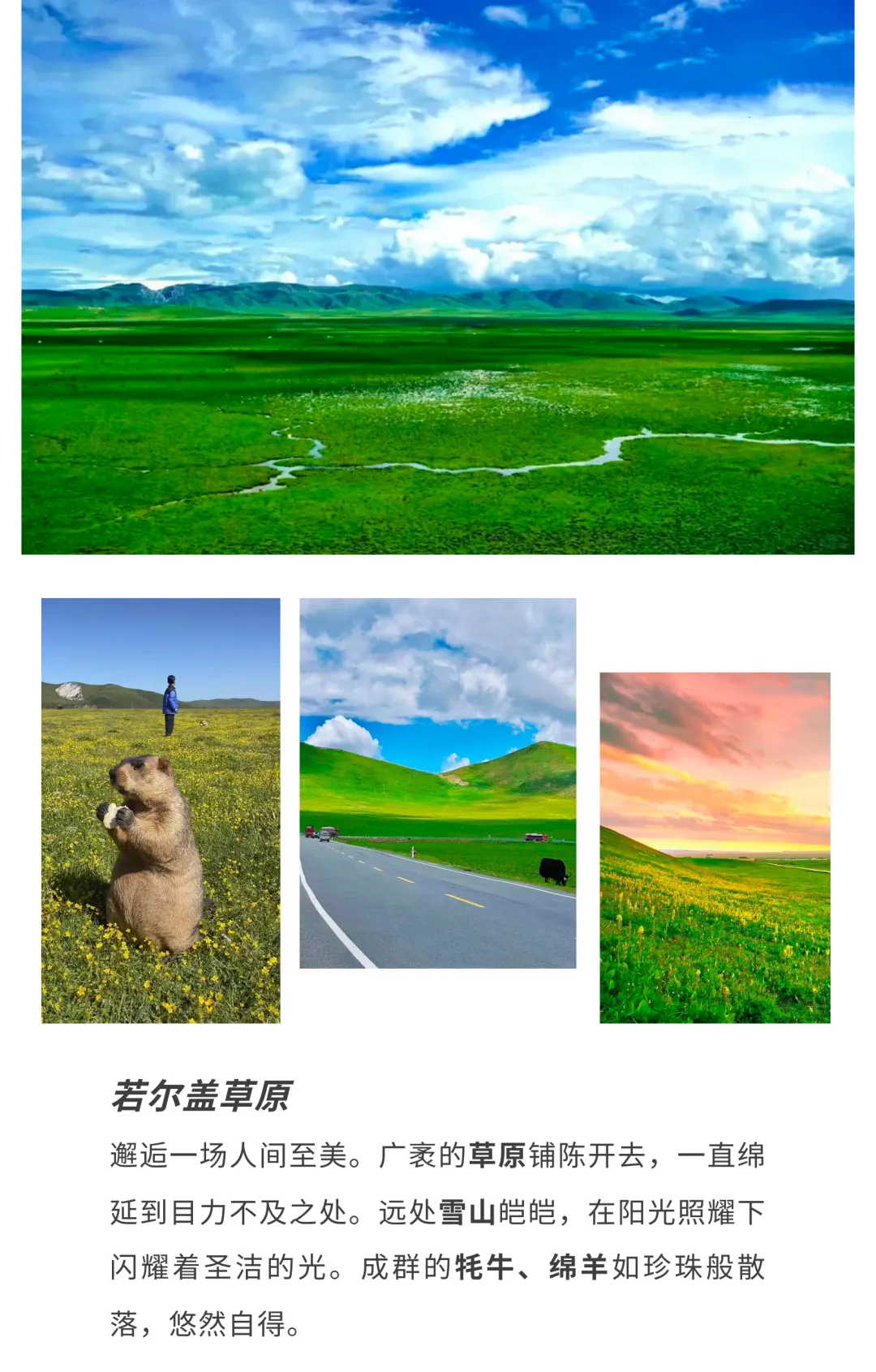642b7551c05a03c2e709b9a5a8859e02-sz_5142777 642b7551c05a03c2e709b9a5a8859e02-sz_5142777