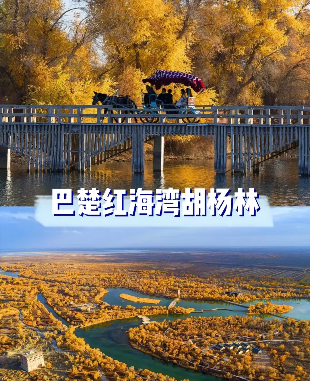 674dad06d81c519e0287c1066d6a4e15-sz_1285092 674dad06d81c519e0287c1066d6a4e15-sz_1285092