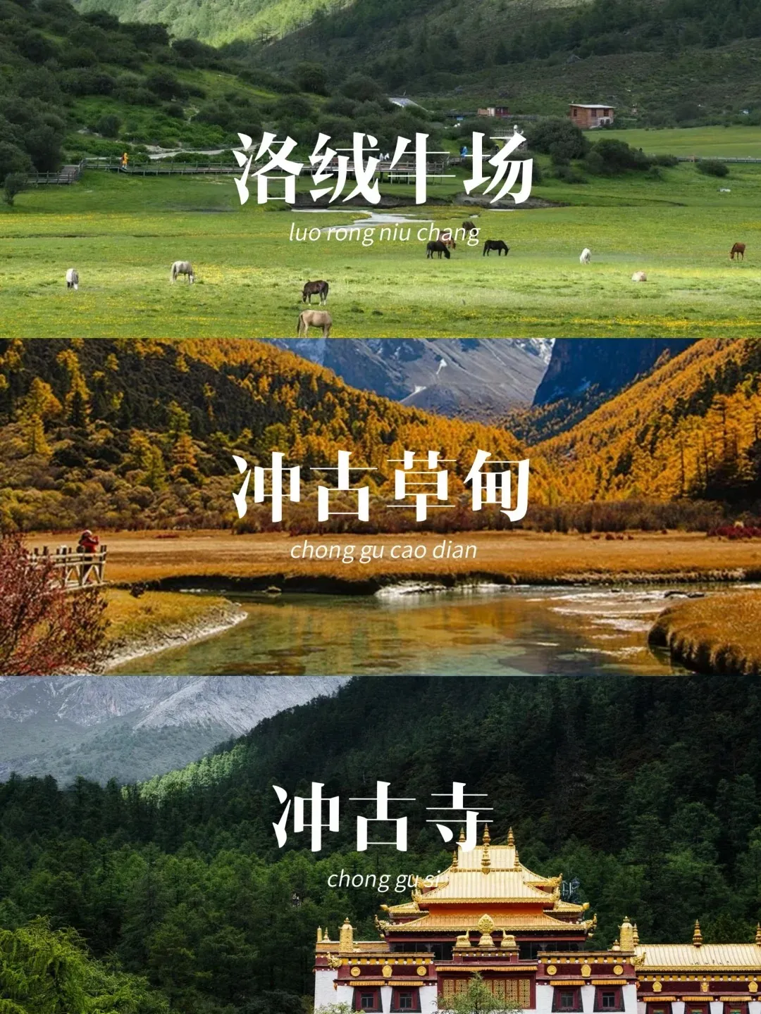 6cf6f2eb4dad53a2b76afae3796a5c84-sz_511764 6cf6f2eb4dad53a2b76afae3796a5c84-sz_511764
