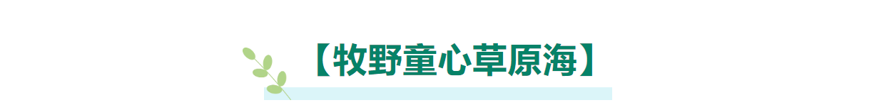 6e9b0b25c72fa93717e2a4d30ba561aa