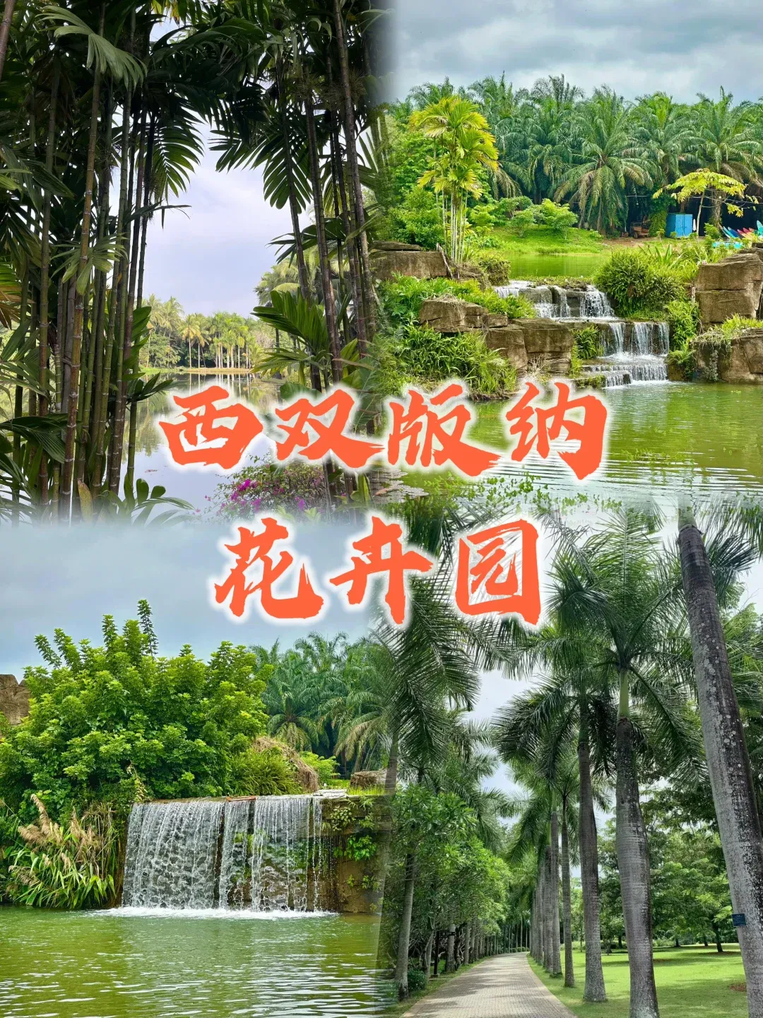 77a8a90cd8d45d0a8c6bb27ca2b10e2c-sz_3141971