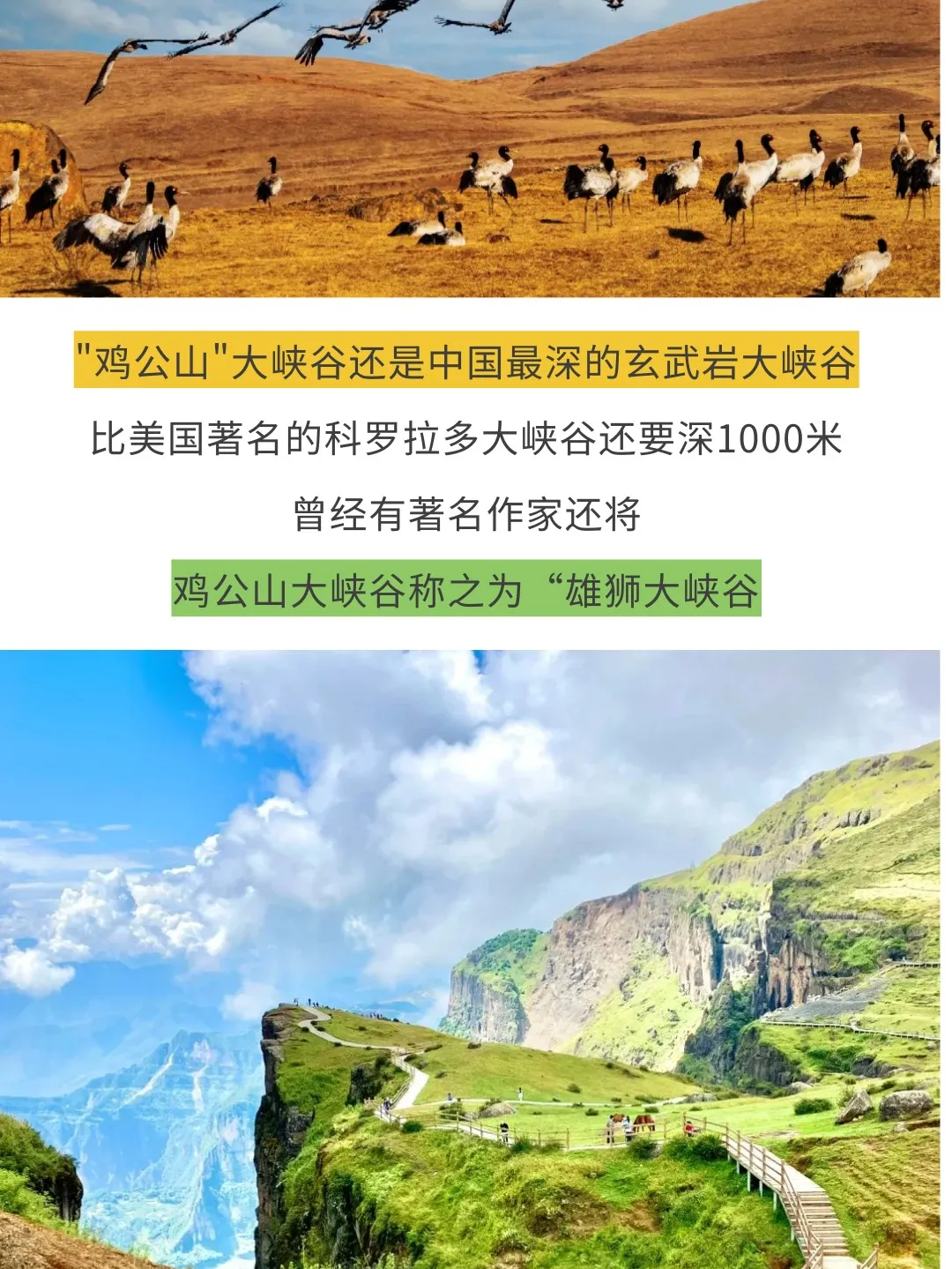 7f46d2212f55aeb439ac49df52ab82ee-sz_389728