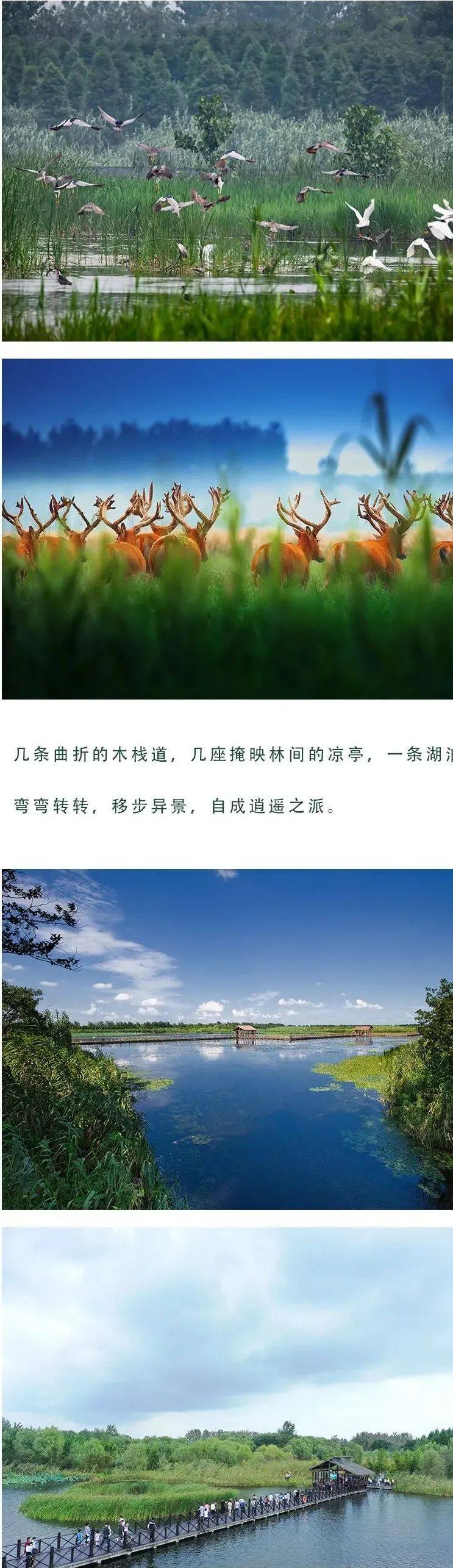 7f504f583ddb32a63c36cff725777310-sz_315181