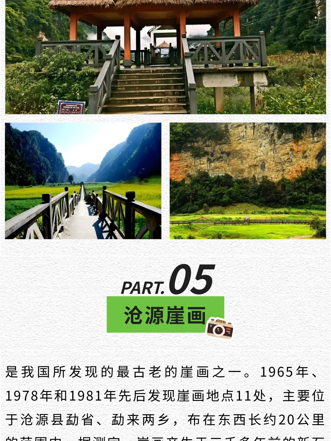 824650f51c6d9809f08f6dc3fcdc0fed-sz_494925