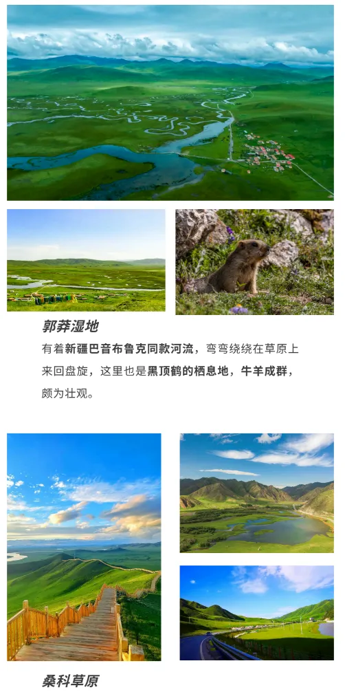 831999ca973c088137c10867effbe2b3-sz_871997 831999ca973c088137c10867effbe2b3-sz_871997