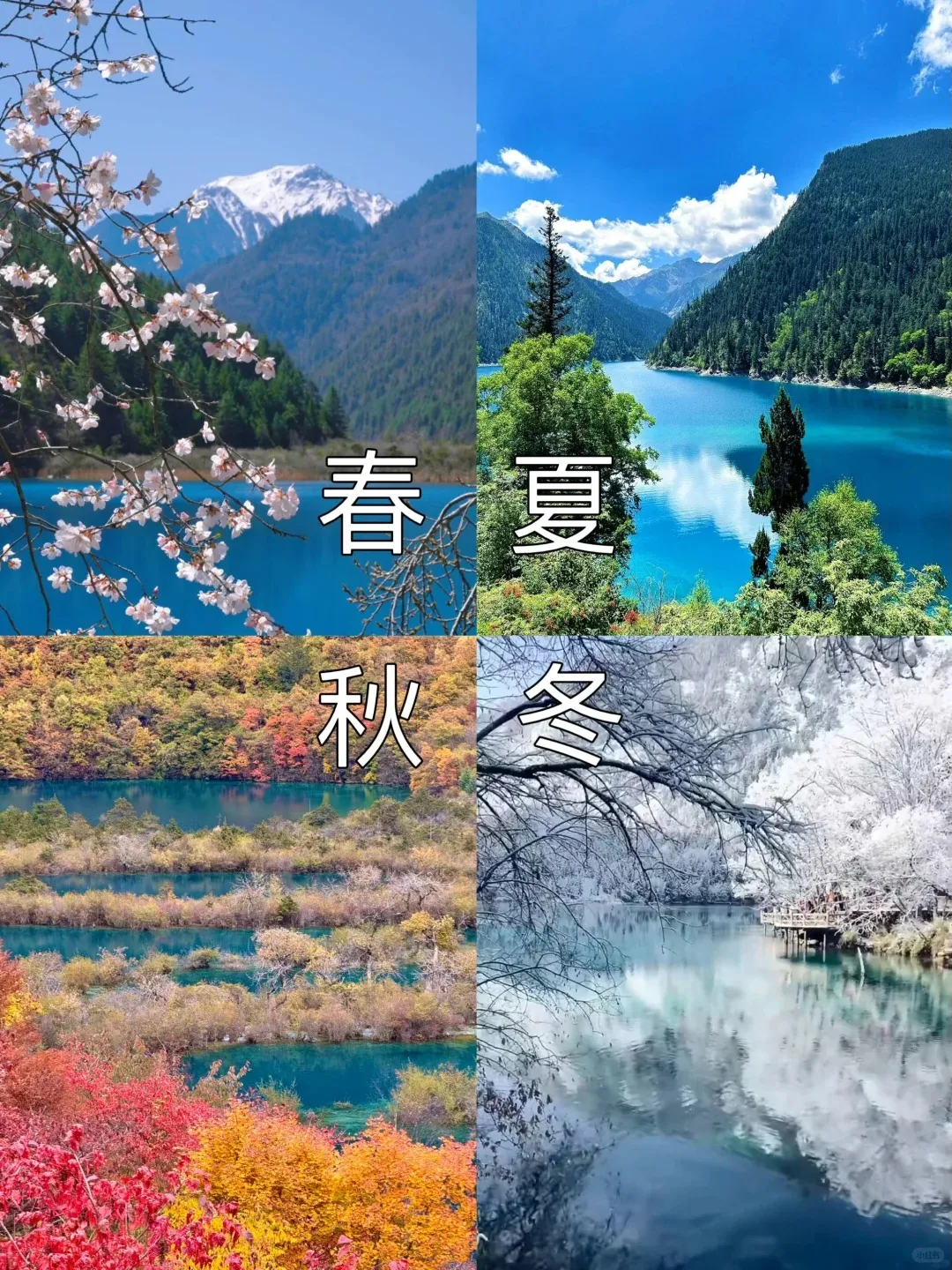 95671f3da9c82530660135ef3789ef19-sz_607816