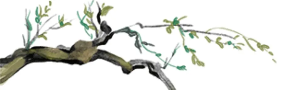 95ab5dbdbba7b8b58fe6f6825bff5e5d-sz_30268 95ab5dbdbba7b8b58fe6f6825bff5e5d-sz_30268