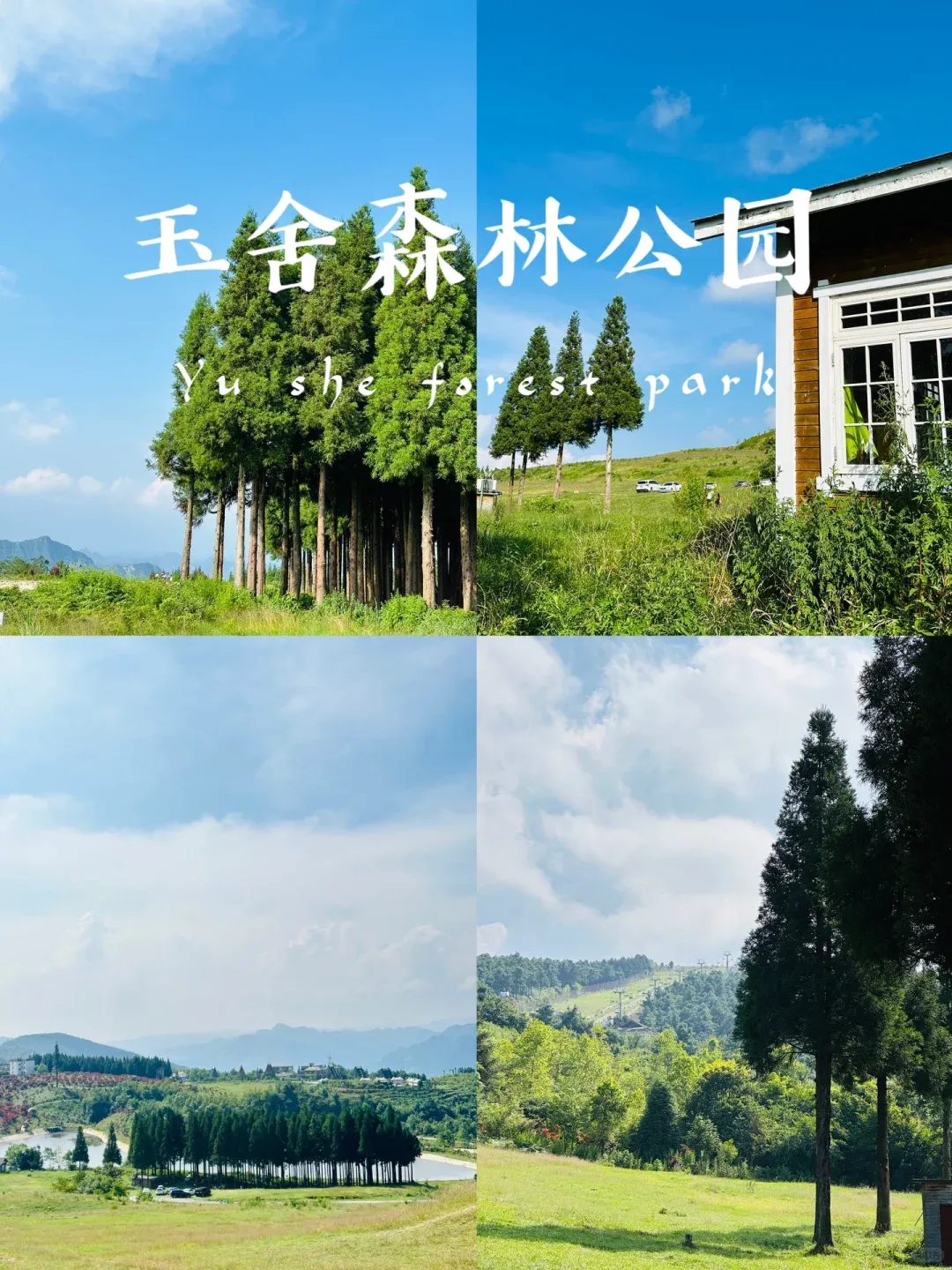 985681497d04e41857b16a8aef8458c3-sz_2553806 985681497d04e41857b16a8aef8458c3-sz_2553806