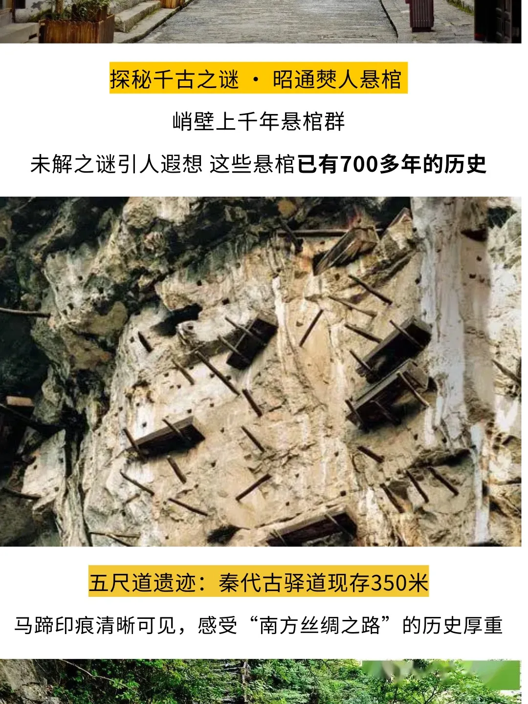 9d96267cda16d9a0a8f1e90014410533-sz_390198