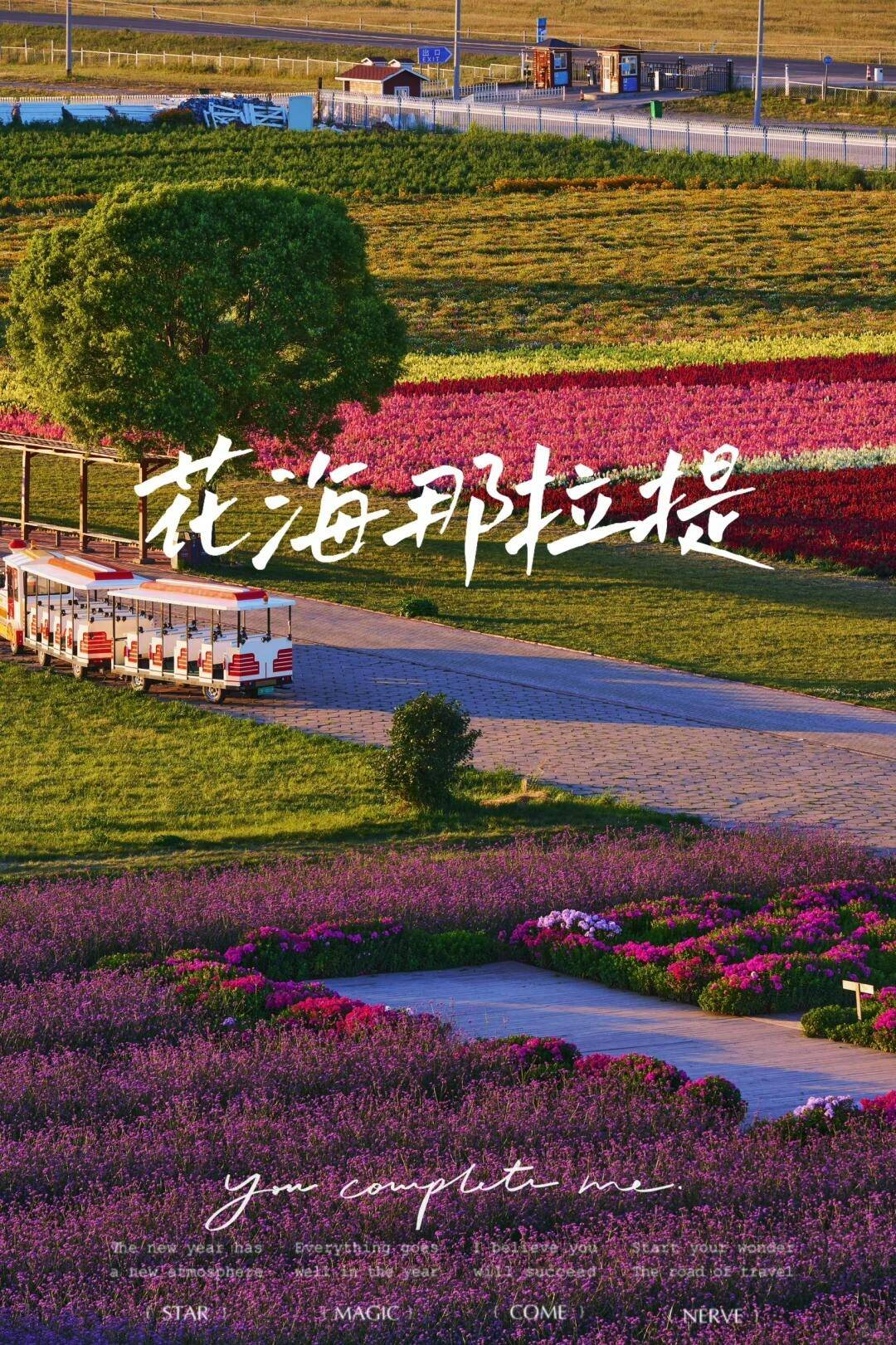 CIkFMBMxcHgkfDcF-1 CIkFMBMxcHgkfDcF-1