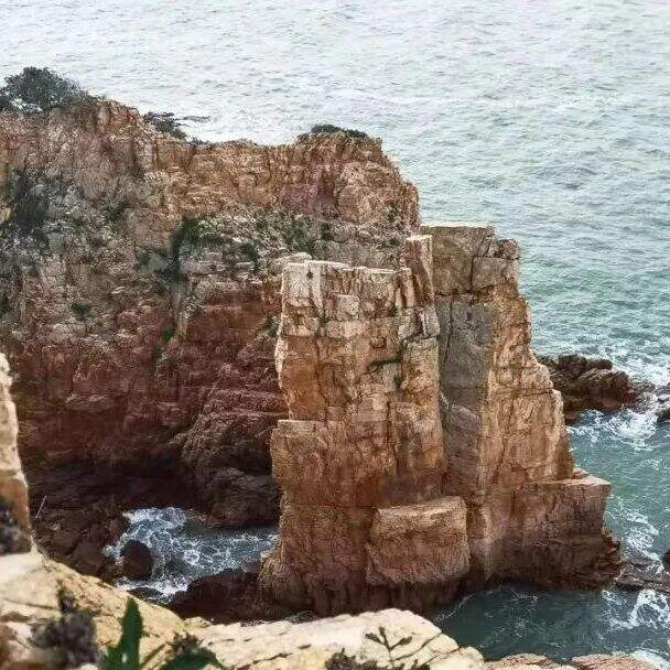 FiwkeDyWOodNMpNM