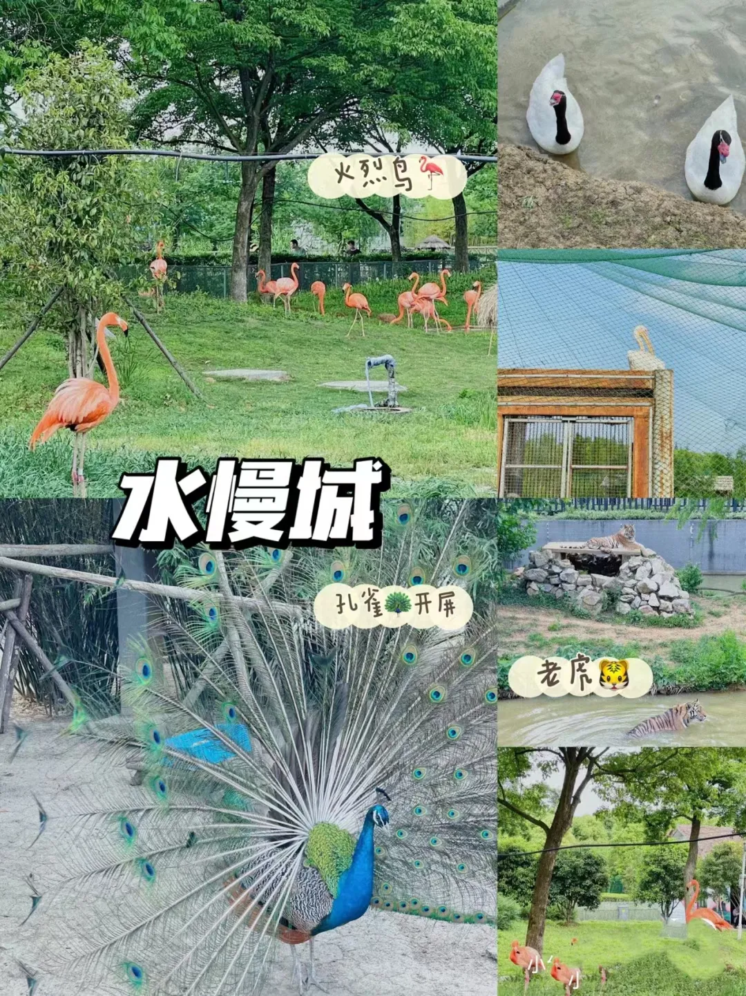 a1cbc0e34257aa4e25a66515504128f1-sz_2230613 a1cbc0e34257aa4e25a66515504128f1-sz_2230613