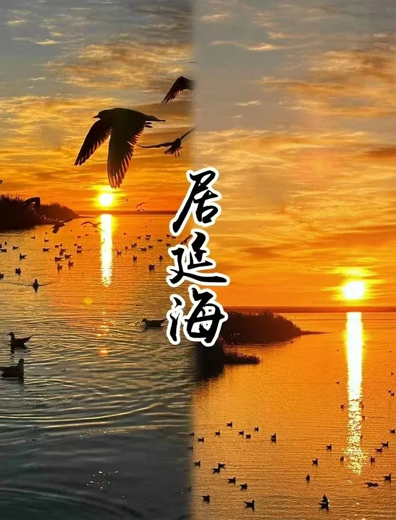 a70bd5c5e2b48ed5ea9c79eb31115804-sz_216482 a70bd5c5e2b48ed5ea9c79eb31115804-sz_216482