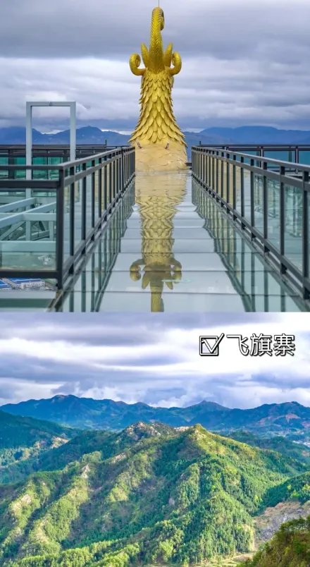 a8852474110b9655e0b7fad21c5446c1-sz_855204