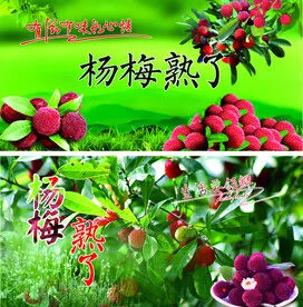 a91b057fb0be928e04f43e217425f792-sz_64812 a91b057fb0be928e04f43e217425f792-sz_64812