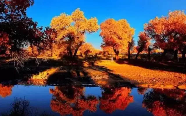 b01794bb532a4f780cba17d8103331b6-sz_539846 b01794bb532a4f780cba17d8103331b6-sz_539846