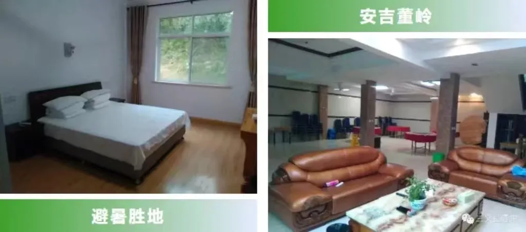 b13e6f55b64943007b81b7176e19712e-sz_219618