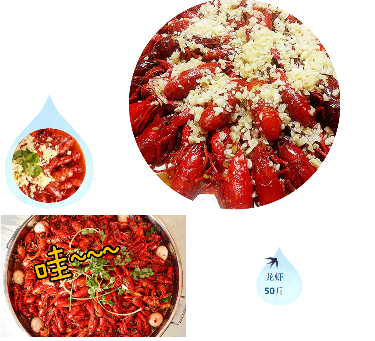 b153f2f8f61b0545ff92388f9e879219