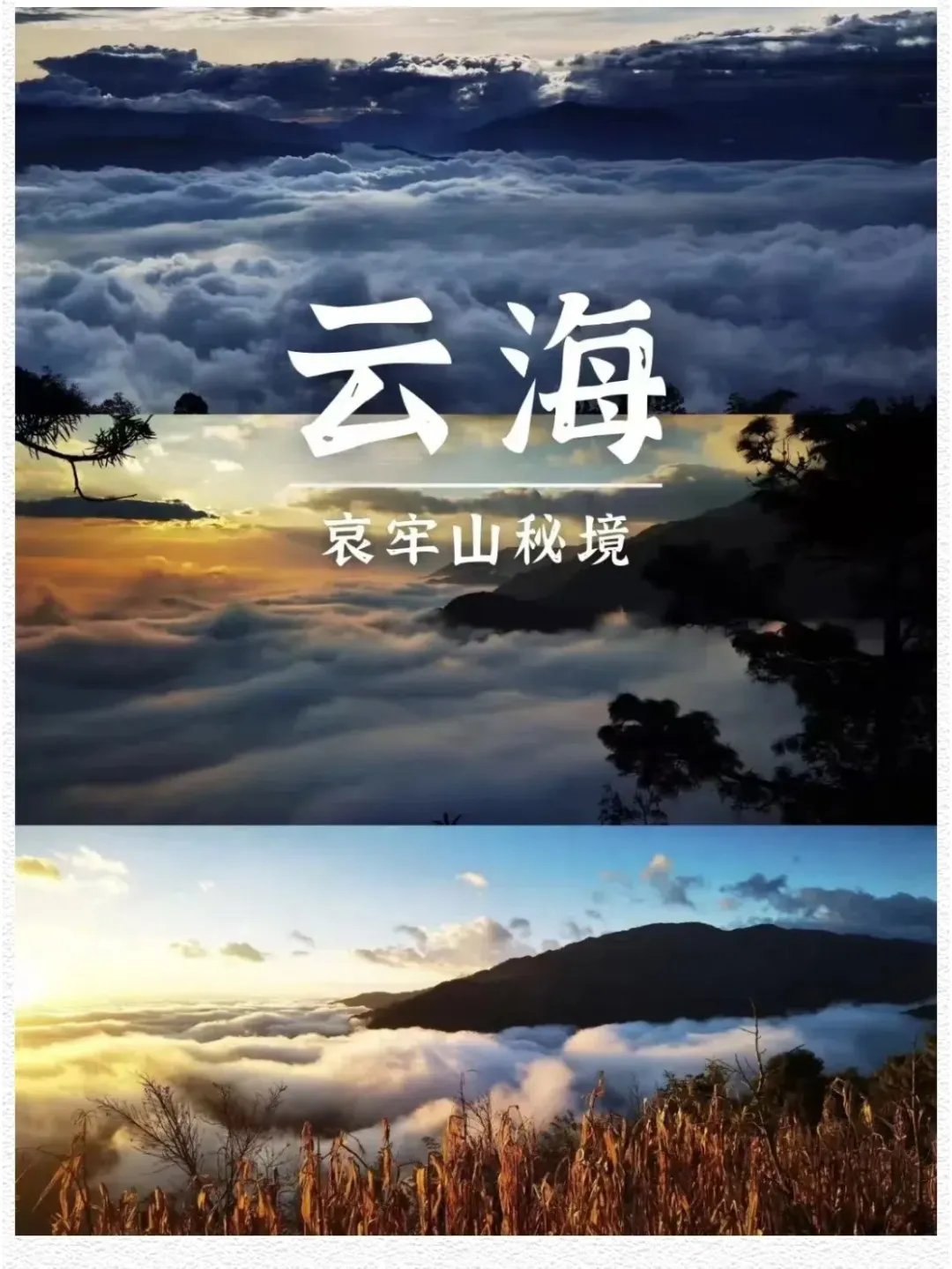b3d72ab9bd6e5cb6e8a2c7af7a595e71-sz_251553