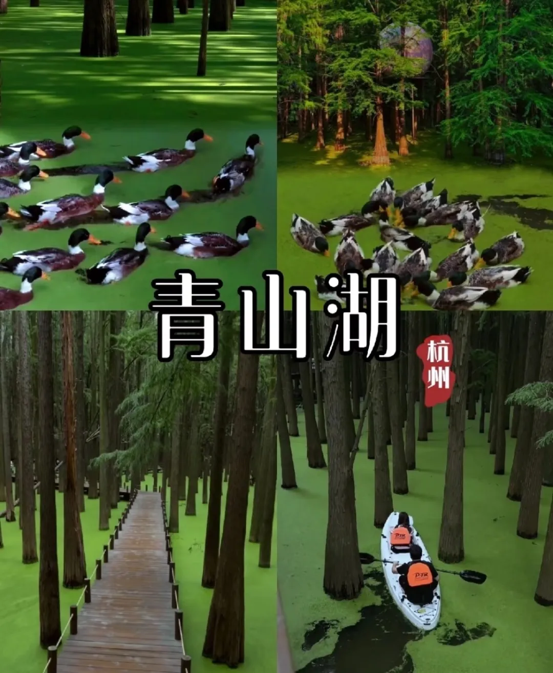 b5f61e0593f4f20d947d7688ac6eeaa4-sz_358915 b5f61e0593f4f20d947d7688ac6eeaa4-sz_358915