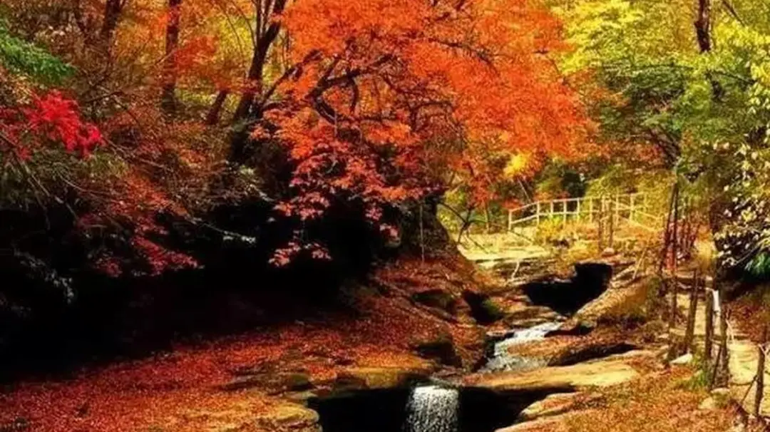 b6bd326ebdbd8efbe17a6fe03674605d-sz_172510-2 b6bd326ebdbd8efbe17a6fe03674605d-sz_172510-2