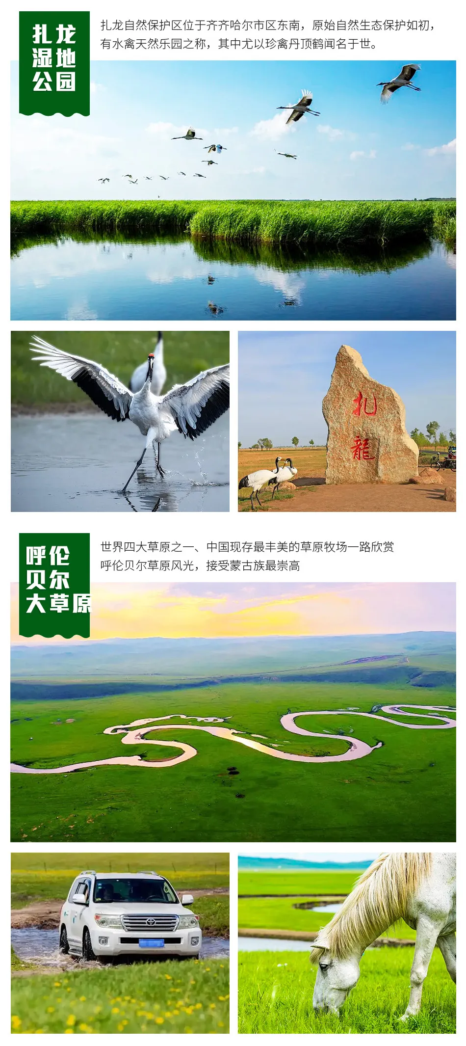 b7950fc54d40cf420105b77b38897201-sz_671741