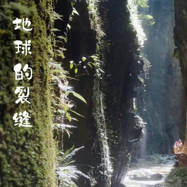 市场独家！暑期畅玩武隆+龙水河地缝+仙女山+市内自由行双飞5日游