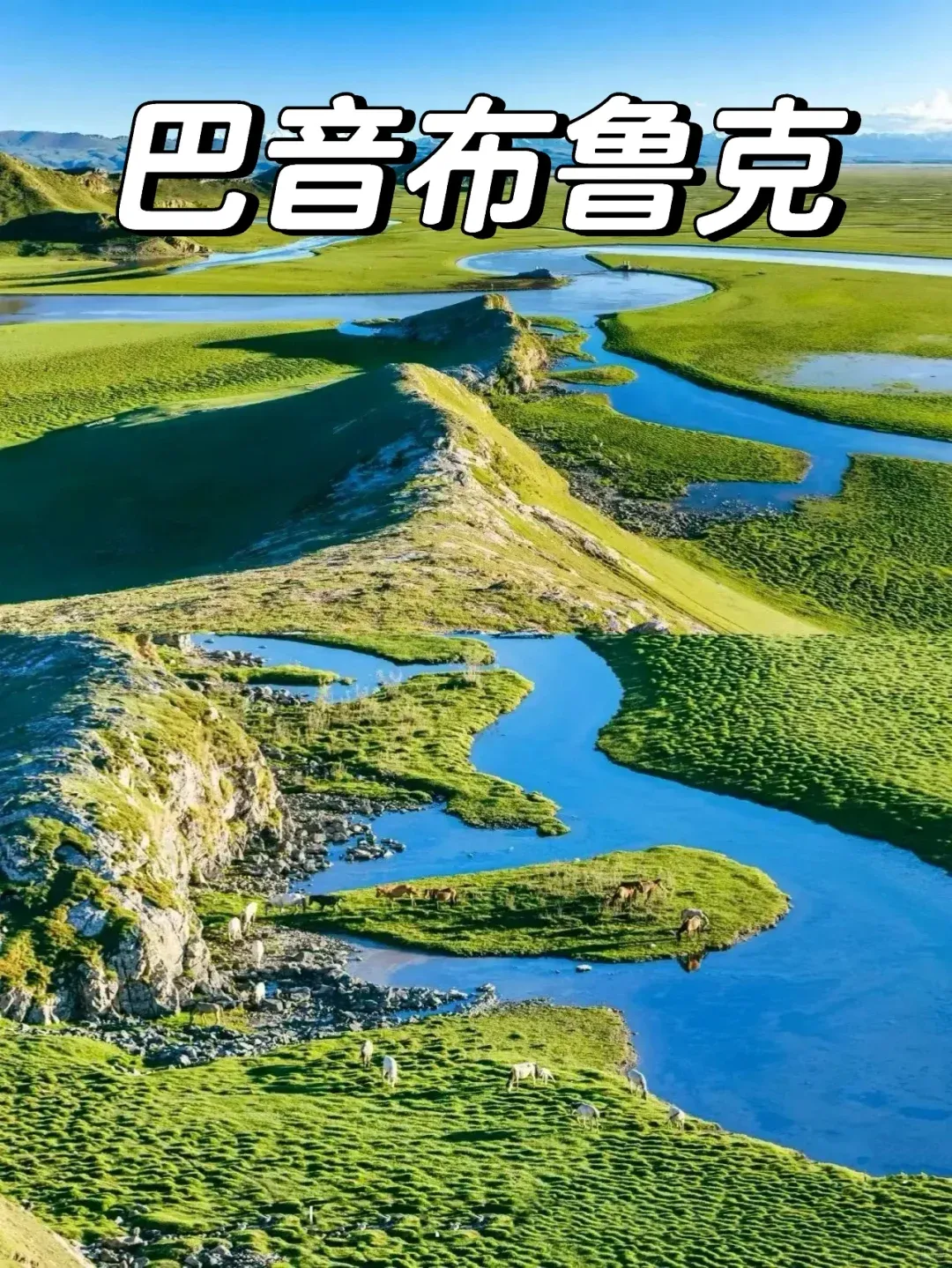 bc96ccd9a196ebbc4ff1a8cb01258a3a-sz_3385483 bc96ccd9a196ebbc4ff1a8cb01258a3a-sz_3385483