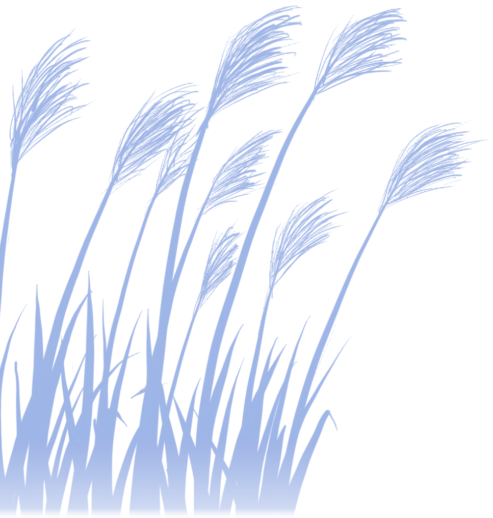 bd8070199909076afcbe8552b312d147-sz_325429-1 bd8070199909076afcbe8552b312d147-sz_325429-1