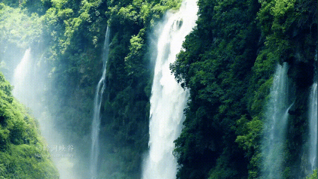 c10c36c96fd9e80465976baf08109a9a-sz_1995287