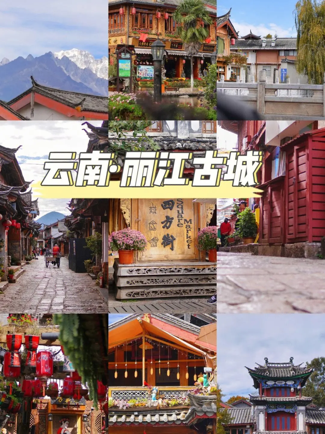 c98a70e5d930a8b759972d877fe76856-sz_305984