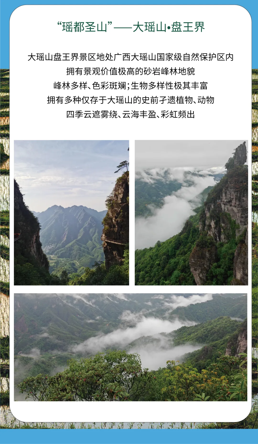d4408443e98eaa495777d0b5c10c1d9a-sz_4216985