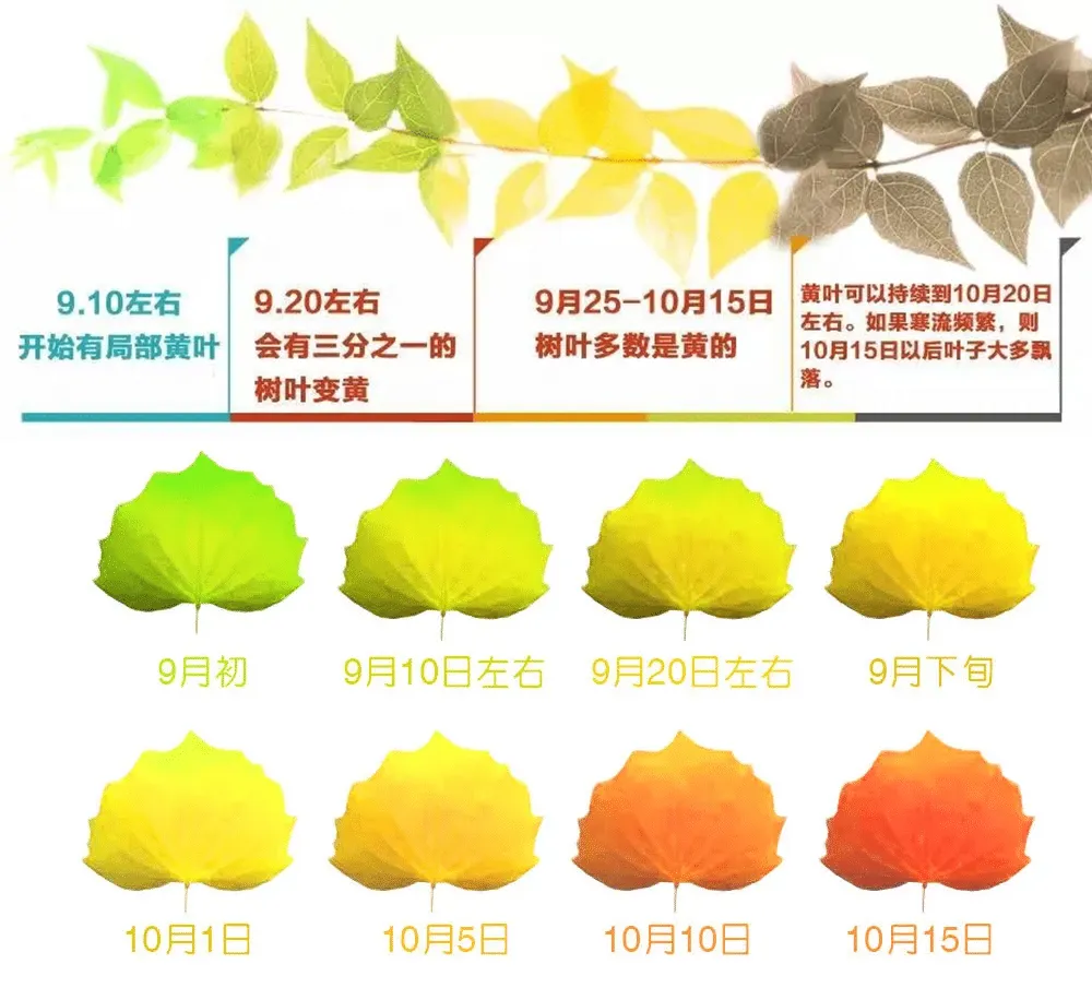 d4ae3898e2120c9e36243826c60fda3a-sz_647723
